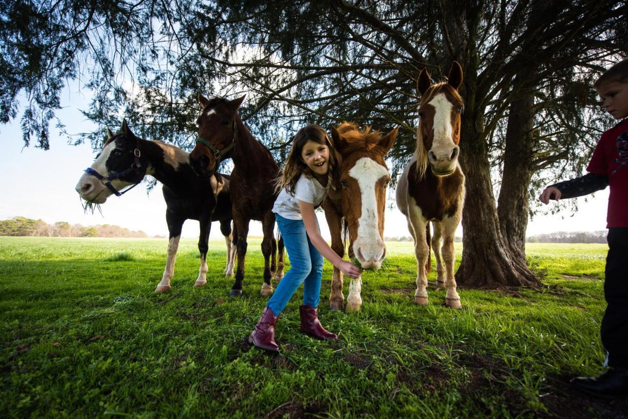 Southern Cross Guest Ranch Madison Zewnętrze zdjęcie